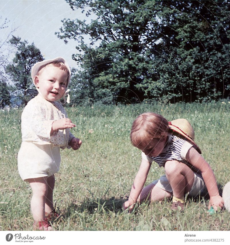 Blümchen pflücken Kinder Retro 60er Kleinkind Baby Wiese Lachen Freude Natur Liebe zur Natur Altes Foto analog Sommer unbeschwert Kindheit Glück Fröhlichkeit