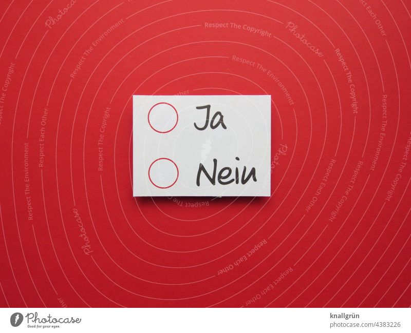 Entscheide dich! Ja Nein Entscheidung Text ankreuzen wählen Wahlen Demokratie demokratisch Typographie Farbfoto Hintergrund neutral Studioaufnahme