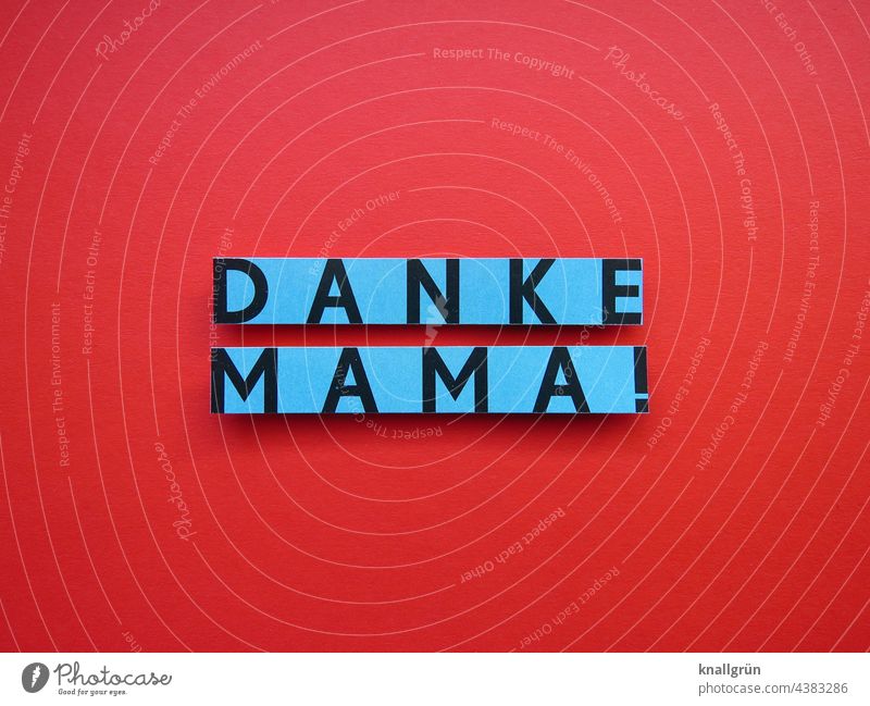 Danke Mama! Mutter Liebe Muttertag dankbar Familie & Verwandtschaft Glück Kindheit Eltern Zusammensein Frau Zusammengehörigkeitsgefühl Freude Fröhlichkeit