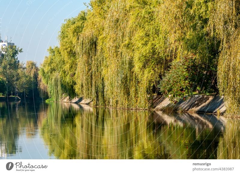 Ein Blick auf den Fluss Bega am frühen Morgen bei strahlend blauem Himmel 2016 Rumänien Timisoara Hintergrund Großstadt Stadtbild Tag Landschaft natürlich Natur