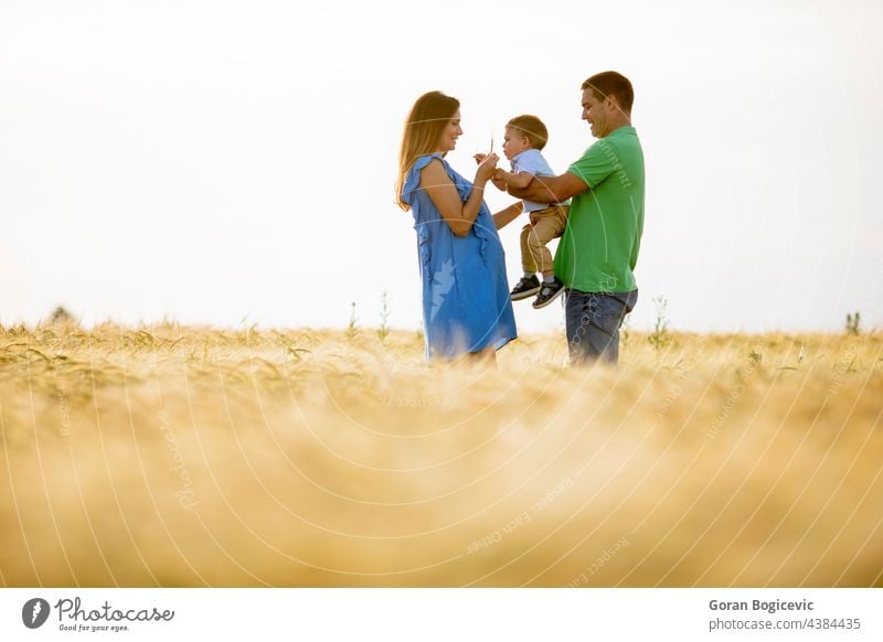 Junge Familie mit süßem kleinen Jungen hat Spaß im Freien auf dem Feld Erwachsener schön Kaukasier Kind Kindheit Landschaft niedlich Papa Gefühle genießen Vater