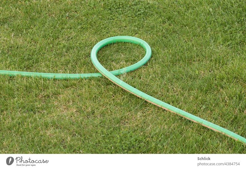 Wasserfalle grüner Gartenschlauch bildet eine Schlinge auf dem Rasen Wasserschlauch Gras Schlauch Wässern Wasserknappheit Gartenarbeit Bewässerung Sommer gießen