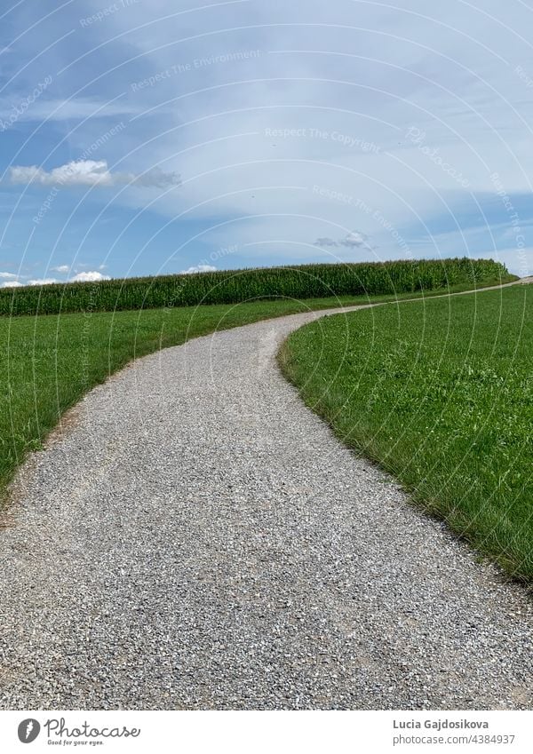 Eine Landstraße, die am Horizont verschwindet. Sie schlängelt sich zwischen Wiesen und Feldern hindurch. Landschaft Schotterstraße