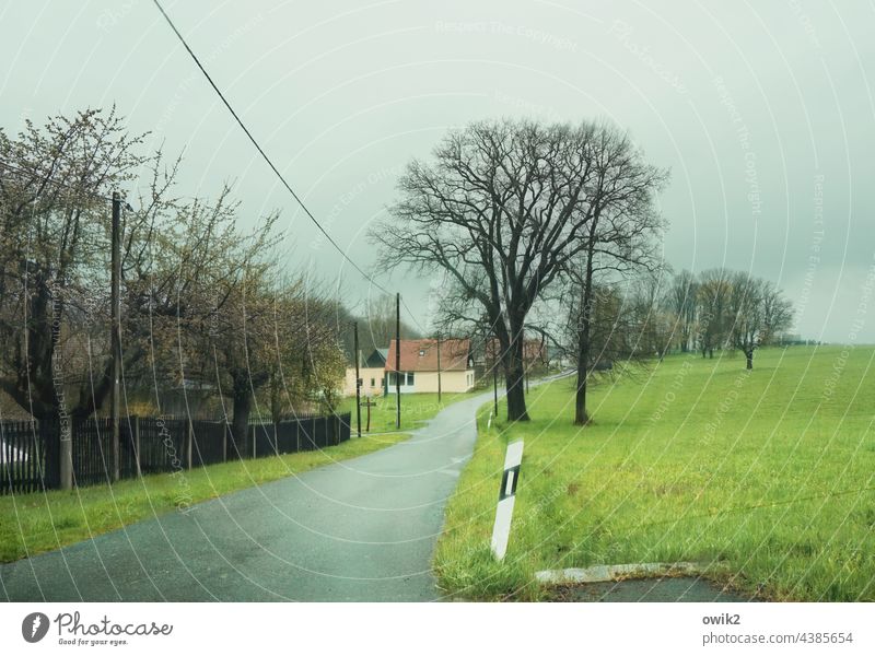 Trist, aber friedlich Dorfstraße Dorfidylle beschaulich Lausitz Sachsen Horizont Wiese Gras Natur Landschaft Umwelt Textfreiraum oben Idylle Textfreiraum unten