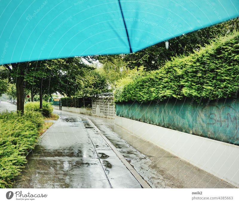 Wien im Regen Regenschirm Wetterschutz Schirm Schutz Stoff geduldig Kontrast Licht Detailaufnahme schlechtes Wetter Wassertropfen Spaziergang Tag