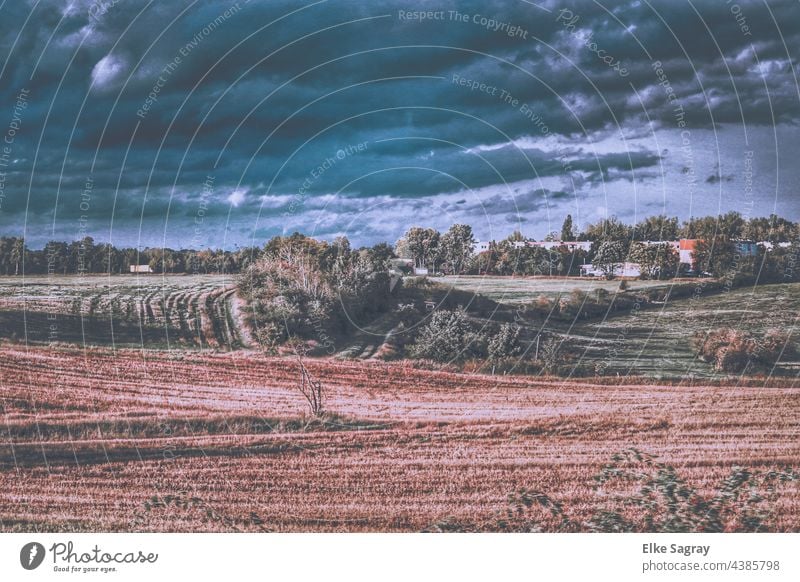 Landschaftsaufnahme mit gewaltigen Wolken Feld wolken Himmel Wiese Natur Sonne Gras Umwelt grün Farbfoto Menschenleer