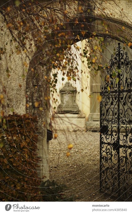 Die Türe steht offen | Eingang zum Innenhof einer Kirche Herbst historisch alt Schmiedeeisen Herbststimmung Durchgang spannend Torbogen erkunden