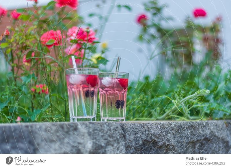 GIN Cocktails mit frischen Früchten Lebensmittel Frucht Limonade Glas Sommer rosa Gin gekühlt Schorle Saft Vitamin Farbe Zitrone erfrischend Party Gesundheit