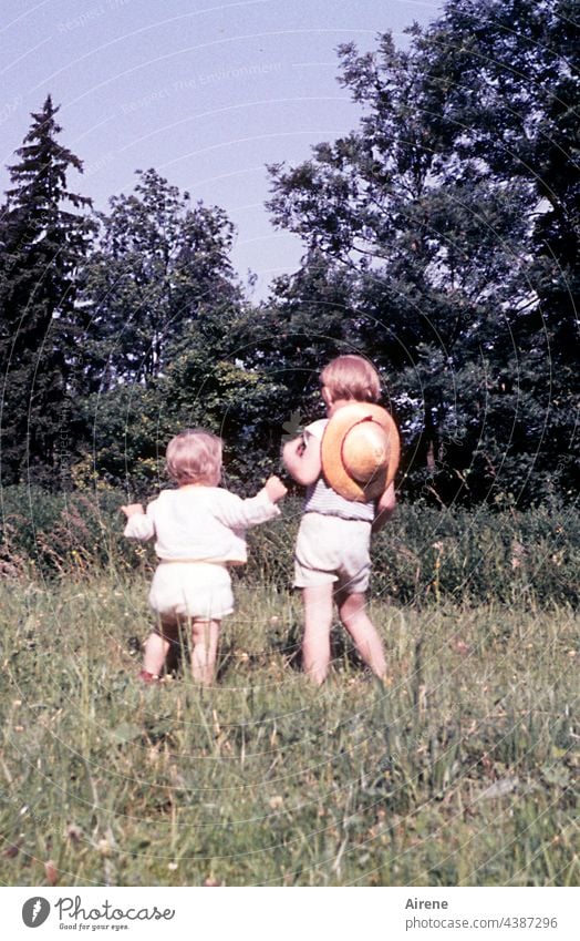 Große Schwester, nimm mich mit! Kinder Retro 60er Kleinkind Baby Wiese Freude Natur Altes Foto analog Sommer unbeschwert Kindheit Glück Fröhlichkeit niedlich