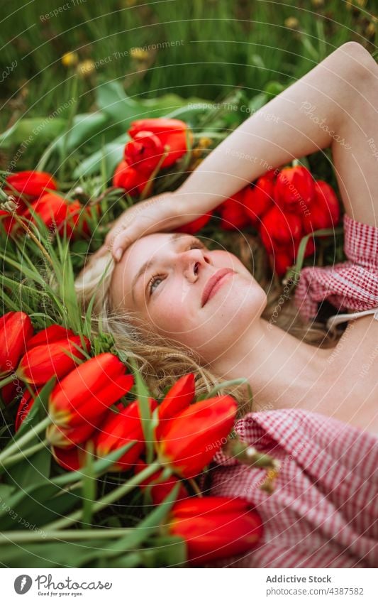 Glückliche Frau auf einer Wiese mit roten Tulpen liegend Blütezeit Feld Blume Haufen Lächeln Natur Lügen geblümt Angebot feminin sorgenfrei charmant hell Sommer