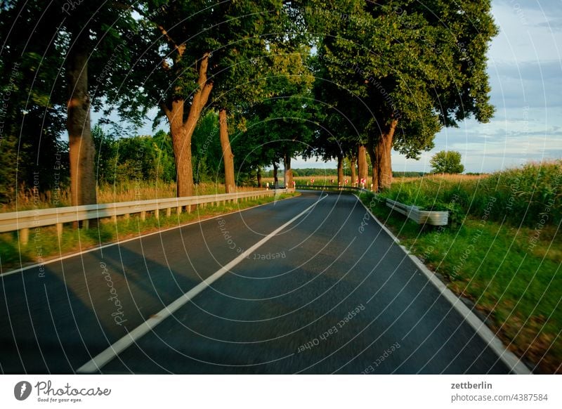 Allee in Brandenburg allee asphalt auto brandenburg fahren ferien fortbewegung gerade kurve linie links navi navigation orientierung reise richtung