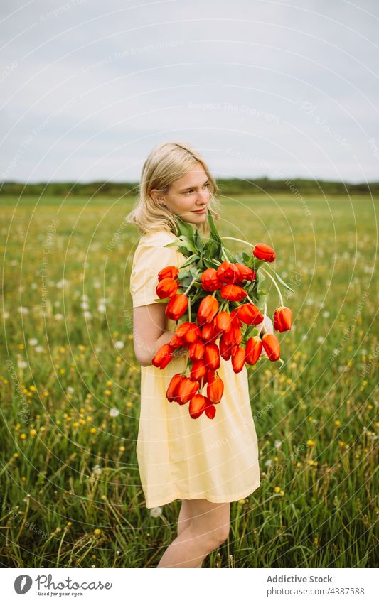 Sanfte Frau mit einem Strauß roter Tulpen auf einem Feld Blume Blumenstrauß Sommer Haufen Wiese Angebot Lächeln Inhalt Blütezeit romantisch jung Natur