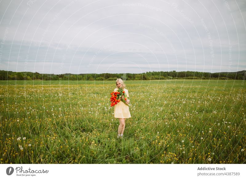 Sanfte Frau mit einem Strauß roter Tulpen auf einem Feld Blume Blumenstrauß Sommer Haufen Wiese Angebot Lächeln Inhalt Blütezeit romantisch jung Natur