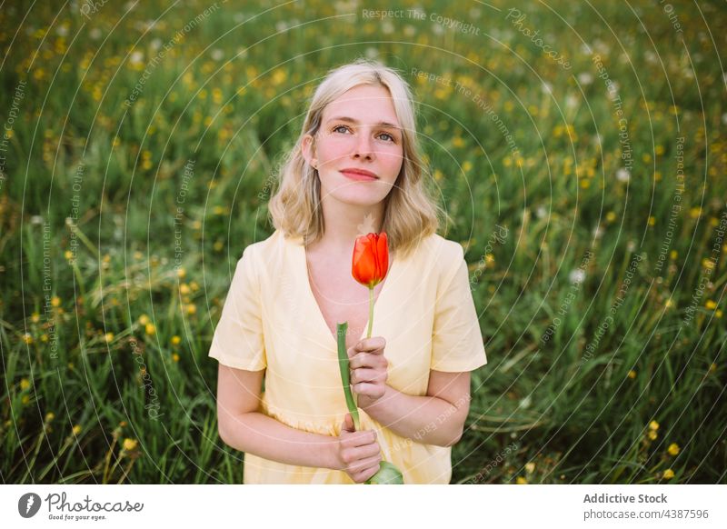 Lächelnde Frau mit roter Tulpe auf einer Wiese Blume Feld Frühling Angebot Inhalt geblümt Blüte Blütezeit frisch natürlich Sommer Windstille filigran Natur