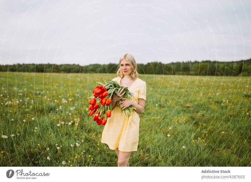 Sanfte Frau mit einem Strauß roter Tulpen auf einem Feld Blume Blumenstrauß Sommer Haufen Wiese Angebot Lächeln Inhalt Blütezeit romantisch jung Natur