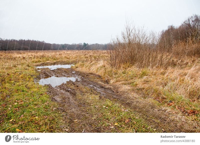 Schotterweg auf dem Feld Schmutz gebrochen Land Boden rau Straße Hintergrund Umwelt Natur Textur Bahn Schlamm Erde Pflanze braun reisen Landschaft leer Gras