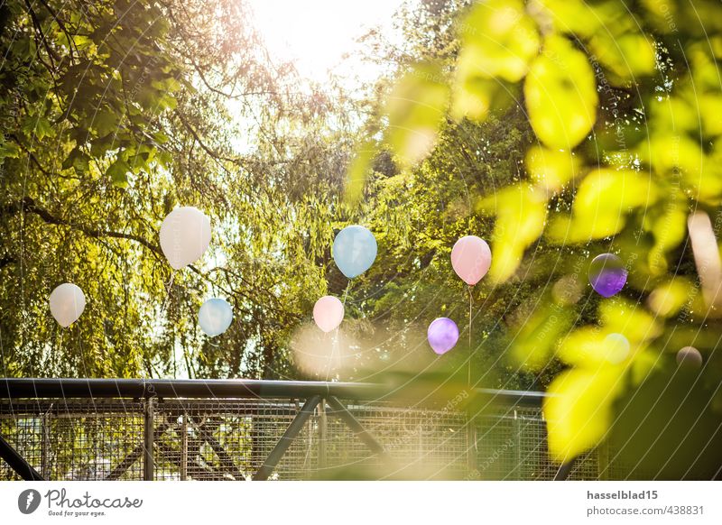 balloon party Lifestyle Reichtum Stil Freude Glück Wellness Leben harmonisch Wohlgefühl Zufriedenheit Sinnesorgane Erholung ruhig Meditation Party Veranstaltung