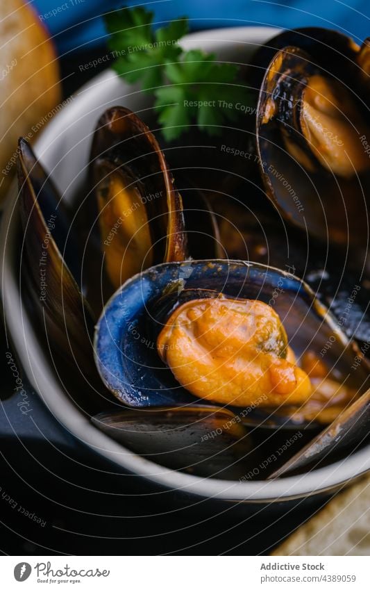 Gedämpfte Muscheln Kochtopf Küchenkräuter Essen zubereiten Weichtier Meeresfrüchte Mittagessen Feinschmecker Miesmuschel Lebensmittel Speise Krebstier Mahlzeit