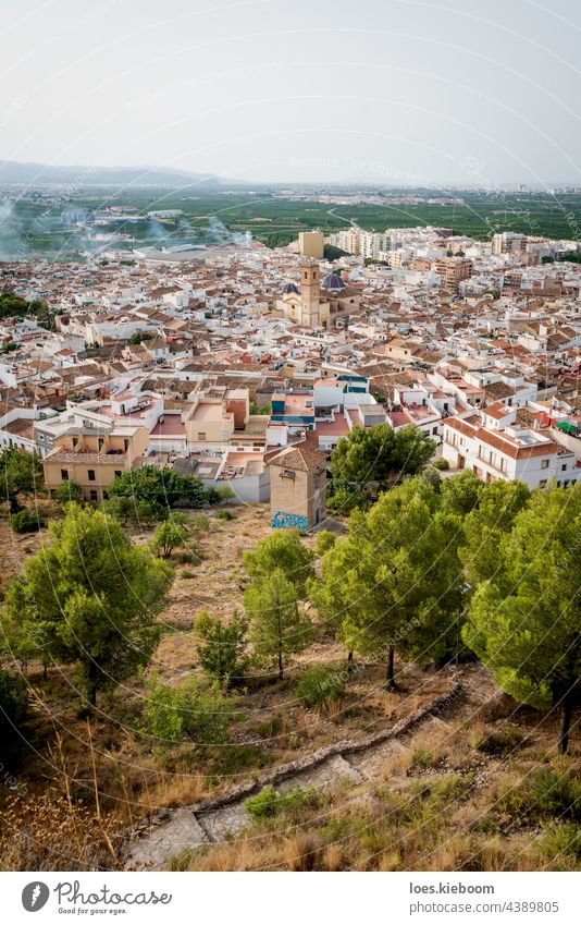 Blick von der Burg 'Santa Anna' auf die spanische Altstadt mit der Kirche 'San Roque', Oliva, Spanien oliva Stadt Landschaft Architektur sant roc Haus Sommer