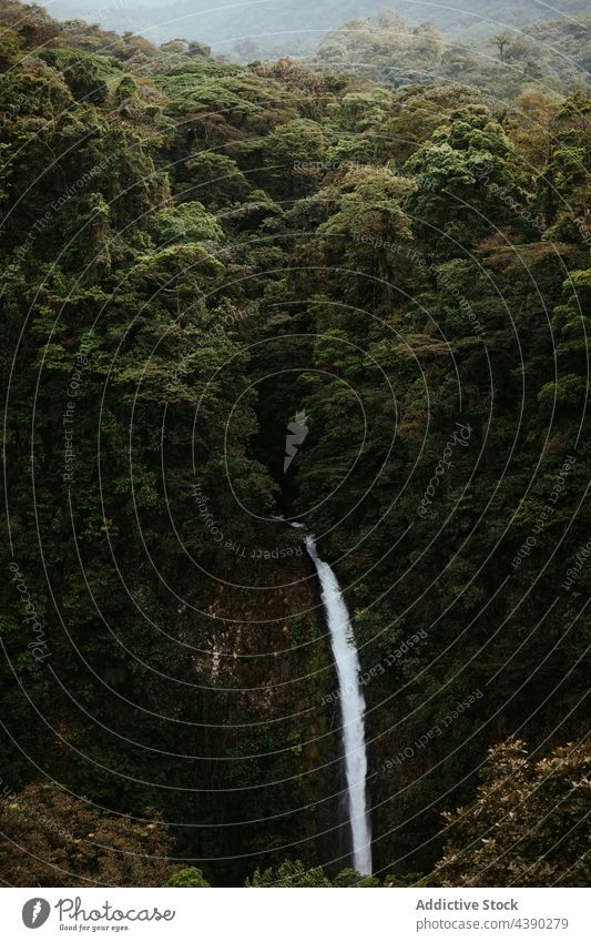 Wasserfall Bach im grünen Dschungel Wald Natur Landschaft tropisch strömen Umwelt Laubwerk wild Felsen Costa Rica La Fortuna alajuela üppig (Wuchs) malerisch