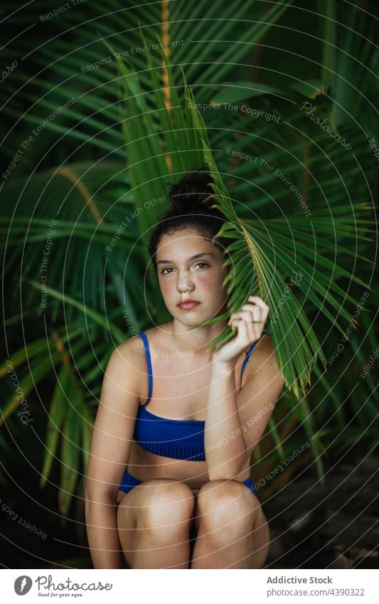 Sinnliche Frau im Bikini unter Palmenblättern Handfläche tropisch Sommer Blatt Strand Natur reisen sinnlich Urlaub Feiertag genießen jung exotisch Laubwerk