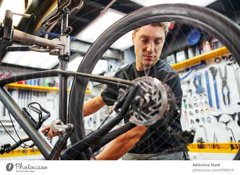 Mann repariert Fahrradrad in der Garage Techniker Reparatur befestigen Rad professionell Arbeit Dienst männlich Erwachsener Fahrradfahren Mechaniker Werkstatt