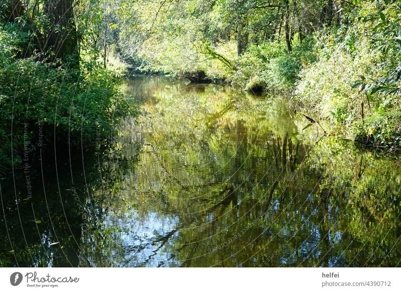 Bach im romantischen Bayern mit reflektierenden Bäumen in klaren Wasser Fluss Reflexion & Spiegelung Baum See Flussufer Teich Seeufer Natur Landschaft Umwelt