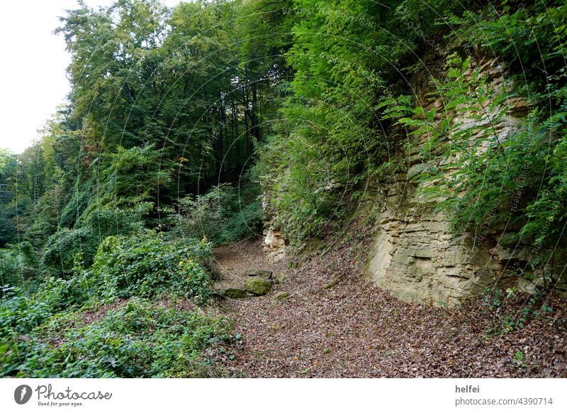 Wanderweg in der fränkischen Schweiz mit Felsen aus dem Sandstein am Wegesrand wanderweg wandern Berge u. Gebirge Ferien & Urlaub & Reisen Wandertag