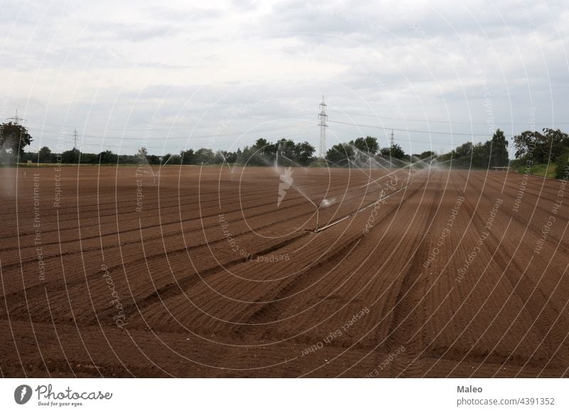 Bewässerung eines Gemüsefeldes - Rheinland Pfalz, Deutschland. Ackerbau Agronomie automatisiert Land Landschaft Ernte kultiviert Tropfen Umwelt Gerät Europa