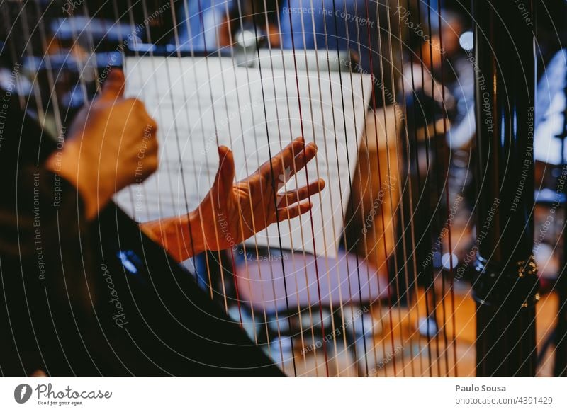 Nahaufnahme Frau spielt Harfe Musik Schnur Streichinstrumente Holz Konzert Saite Musikinstrument musizieren Klang Kunst Detailaufnahme Farbfoto Musiker