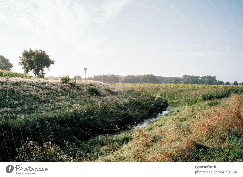 Morgenstimmung am Wassergraben morgenlicht Morgensonne Graben Entwässerungsgraben Vorflutkanal Schlot Schloot Emsland morgens Natur Landschaft Außenaufnahme