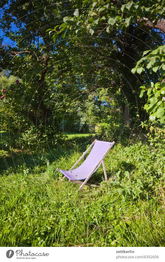 Liegestuhl ast baum erholung ferien garten menschenleer natur pflanze ruhe saison sommer sonne stamm strauch textfreiraum tiefenschärfe wiese zweig park