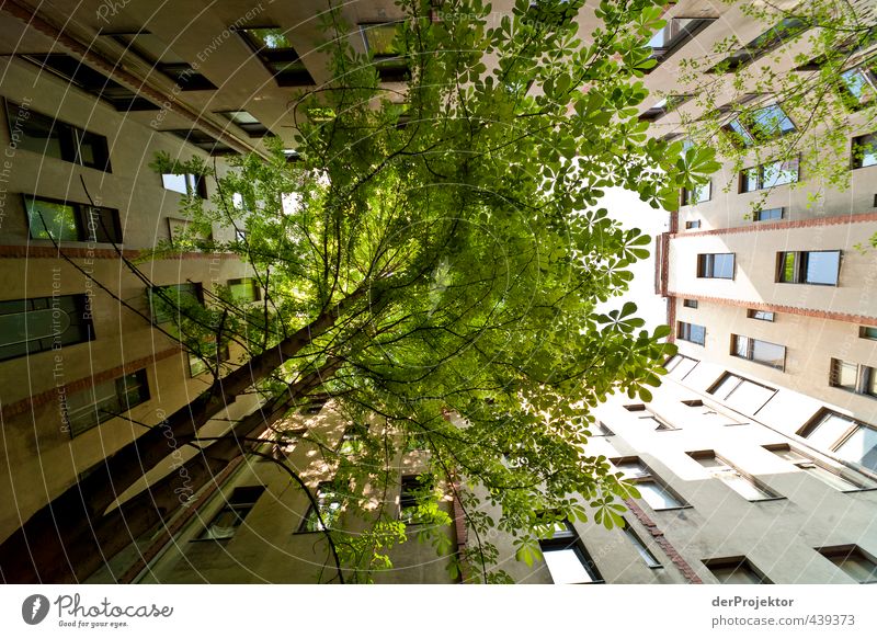 Das Fenster zum Hof 15 Stadt Hauptstadt Stadtzentrum Menschenleer Haus Bauwerk Gebäude Architektur Altbau Bruchbude Mauer Wand alt Armut ästhetisch authentisch