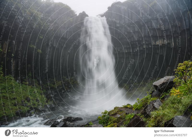 Svartifoss Wasserfall auf launisch, neblig, neblig Wetter. Beliebte Touristenattraktion Szene. Standort Skaftafell National Park, Vatnajokull Gletscher, Island, Europa. Schönheit der Erde