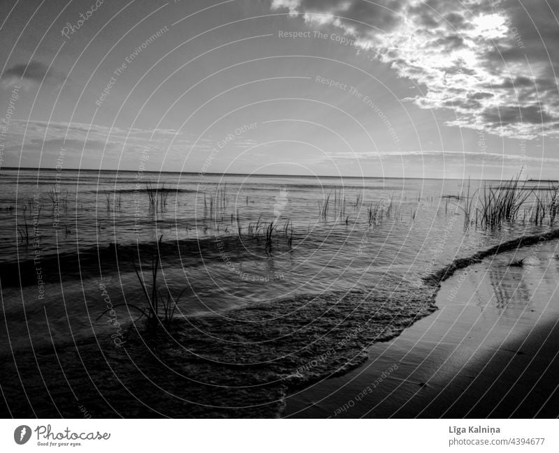 Strand in Schwarz und Weiß MEER Meereslandschaft Wasser Küste Küstenlinie malerisch Ufer Himmel Landschaft Urlaub Sommer Natur Horizont im Freien Ansicht Bucht