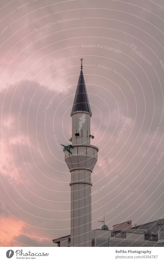 Oberer Teil einer Moschee bei Sonnenaufgang mohammedan mohammad Masse Silhouette Orientalisch Tabernakel Abend religiös Skyline Islam Ägypten orange Tempel