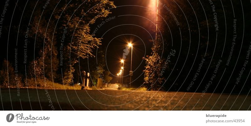 Streetlife Nacht dunkel schwarz Straßenbeleuchtung Beton Teer Sträucher schimmern Langzeitbelichtung Pflanze gold Himmel Lampe