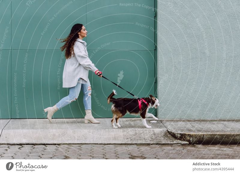 Frau läuft mit Hund die Straße entlang laufen Spaß haben Aktivität Zusammensein Border Collie Großstadt schlendern Haustier Tier Eckzahn Besitzer anleinen