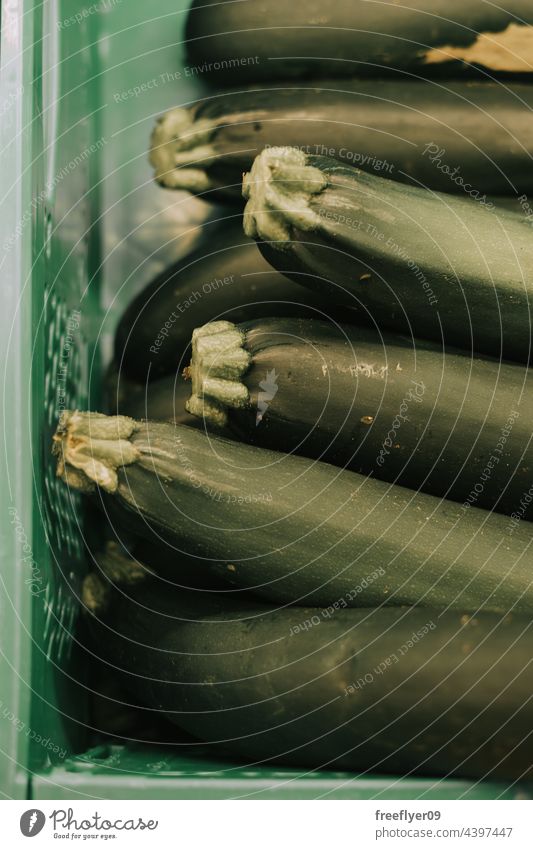 Gruppe von Zucchini auf einem Plastikkorb Korb wirtschaftlich Supermarkt Frucht Textfreiraum Gesundheit Ernährung süß saftig reif Menschengruppe gelb Markt