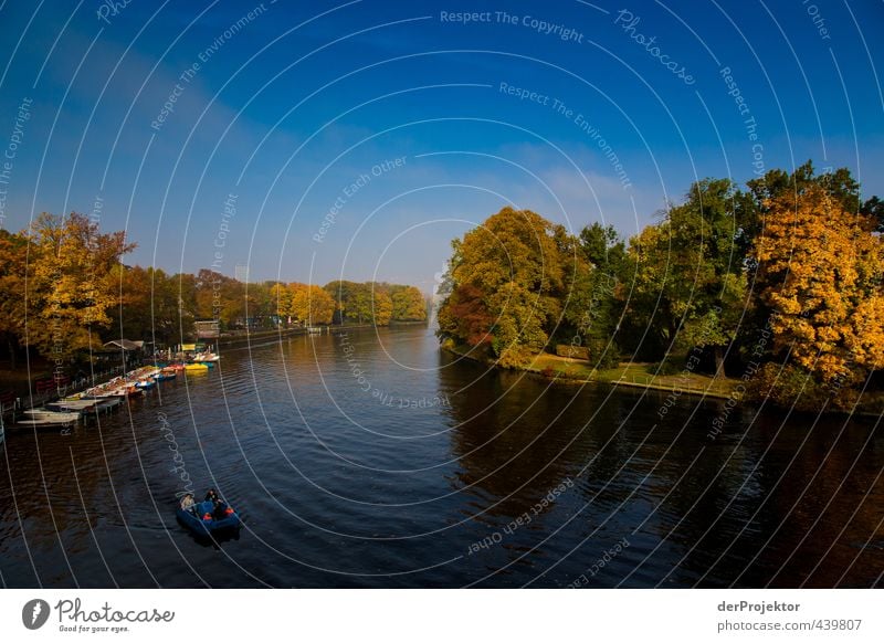 Herbst an der Insel der Jugend mit Blick von der Brücke Umwelt Natur Landschaft Pflanze Wasser Himmel Wolkenloser Himmel Sonne Schönes Wetter Baum Blatt Garten