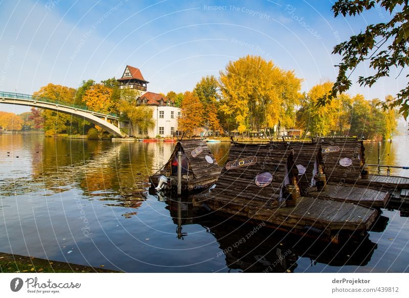 Herbst an der Insel der Jugend Umwelt Landschaft Wasser Schönes Wetter Baum Blatt Park Fluss Stadtrand Menschenleer Haus Sehenswürdigkeit Gefühle Stimmung