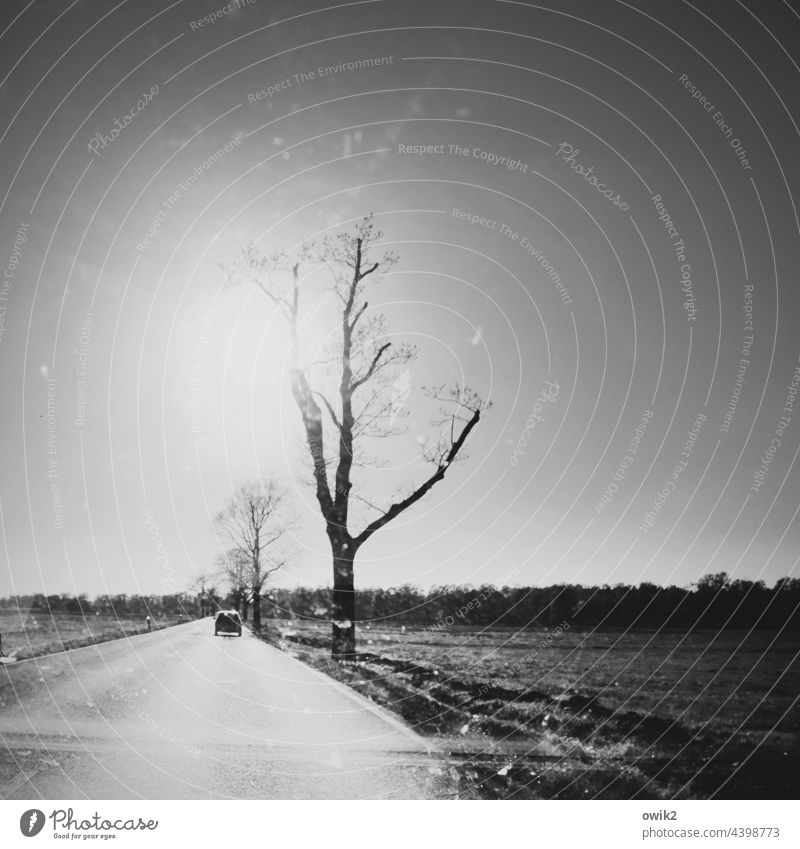 Kurz vor Elsterwerda Straße Baum schemenhaft Bewegungsunschärfe Verkehr Panorama (Aussicht) Umwelt Sonne Himmel Wolken Totale Horizont Verkehrswege glänzend