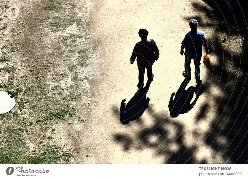 Zwei Männer gehen nebeneinander auf einem Sandweg. Ihre Schatten folgen ihnen unerbittlich durch die Hitze. Einer trägt eine Mütze auf dem Kopf, der andere eine Plastiktüte in der Hand. Baumschatten von rechts und eine blasse Wiese mit Gulli links