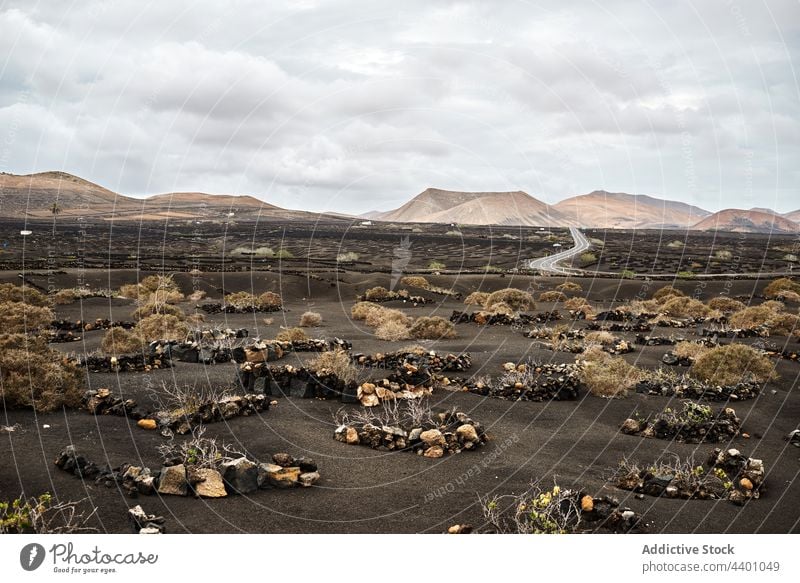 Büsche und Steine in einem trockenen Tal Hügel Buchse Straße reisen Natur Landschaft Gelände Fuerteventura Spanien Kanarische Inseln Berge u. Gebirge Formation