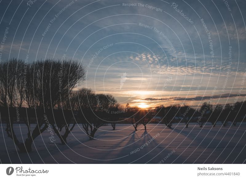 malerische Winterlandschaft in Lettland mit Sonnenuntergangslicht durch einige Bäume und langen Schatten Hintergrund schön blau Weihnachten Cloud Wolken kalt