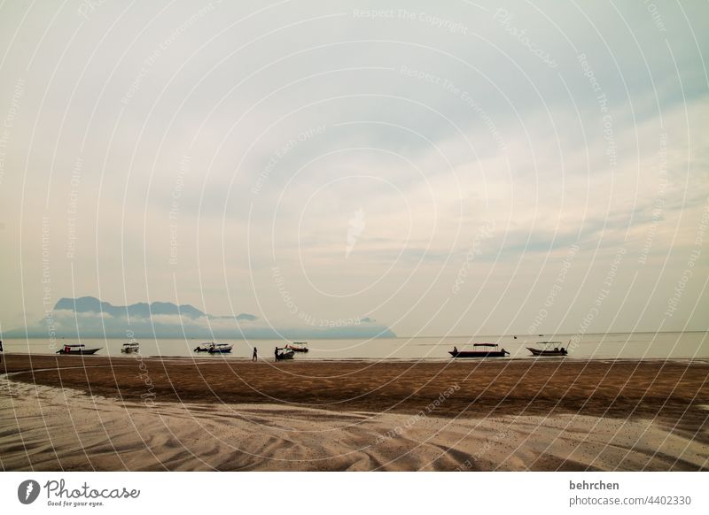 farbreduziert | wolkenverhangen Außenaufnahme Farbfoto Sand Rinnsal kommen Wasserfahrzeug Sarawak bako nationalpark Malaysia Borneo Asien fantastisch exotisch