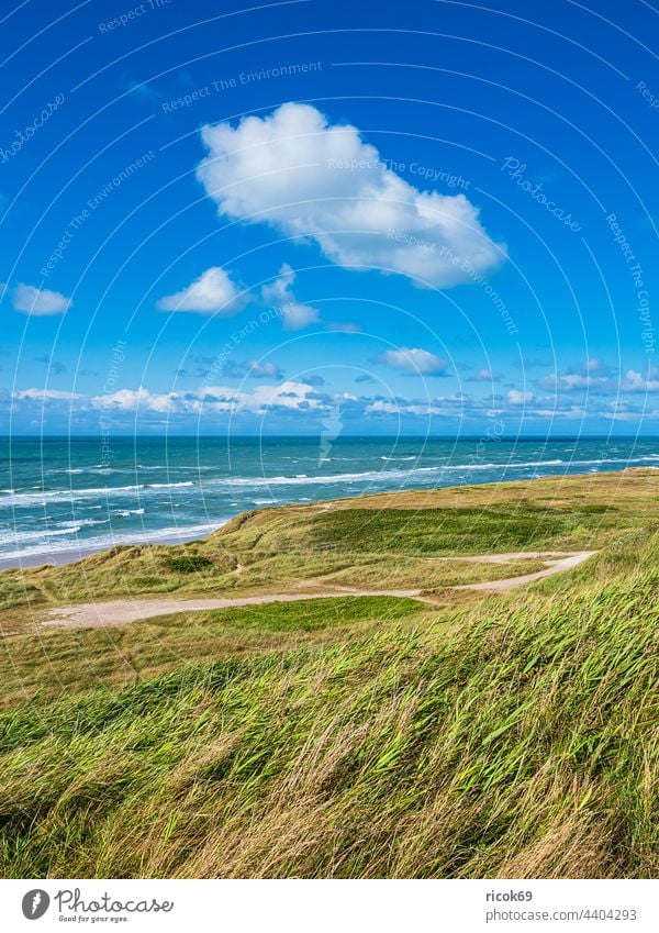 Düne und Strand bei Hirtshals in Dänemark Küste Nordsee Meer Skagerrak Sommer Dünengras Wasser Wellen Natur Jütland Hjørring Hjorring Landschaft Himmel Wolken