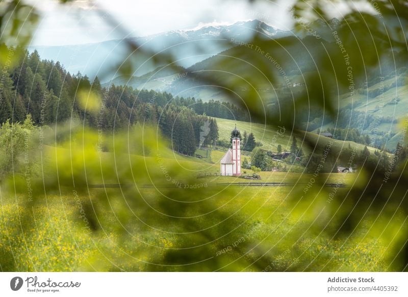 Alte Kirche in grünem Gebirgstal Berge u. Gebirge Hochland alt Tal Wiese Gebäude antik katholisch Natur Dolomit Alpen Italien st. johannes kirche Religion Baum