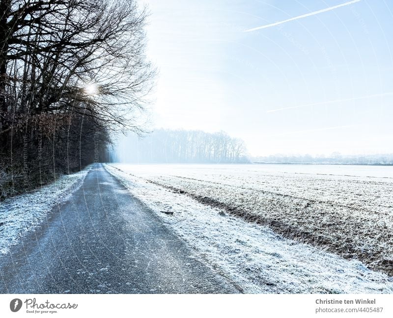 Frostig beginnt der Tag, winterlicher Sonnenschein, die Natur im Schlaf Wintertag Morgensonne frostig Stillstand Ruhe frostiger Morgen kalt gefroren weiß