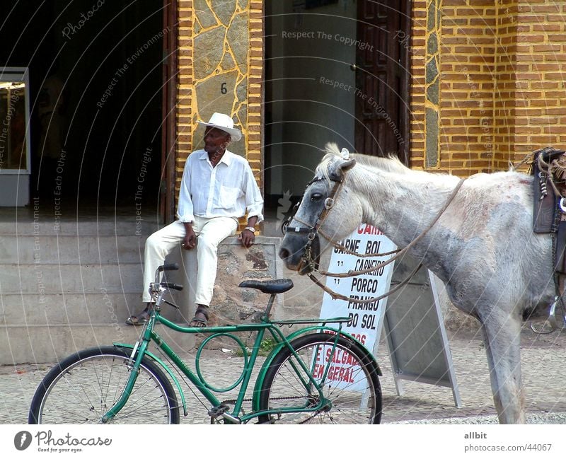 Vila Amoreiras Brasilien Pferd Fahrrad Mann Senior ruhig Gelassenheit Pause Erholung Südamerika Mensch Männlicher Senior Reitsport sitzen Treppe Straße